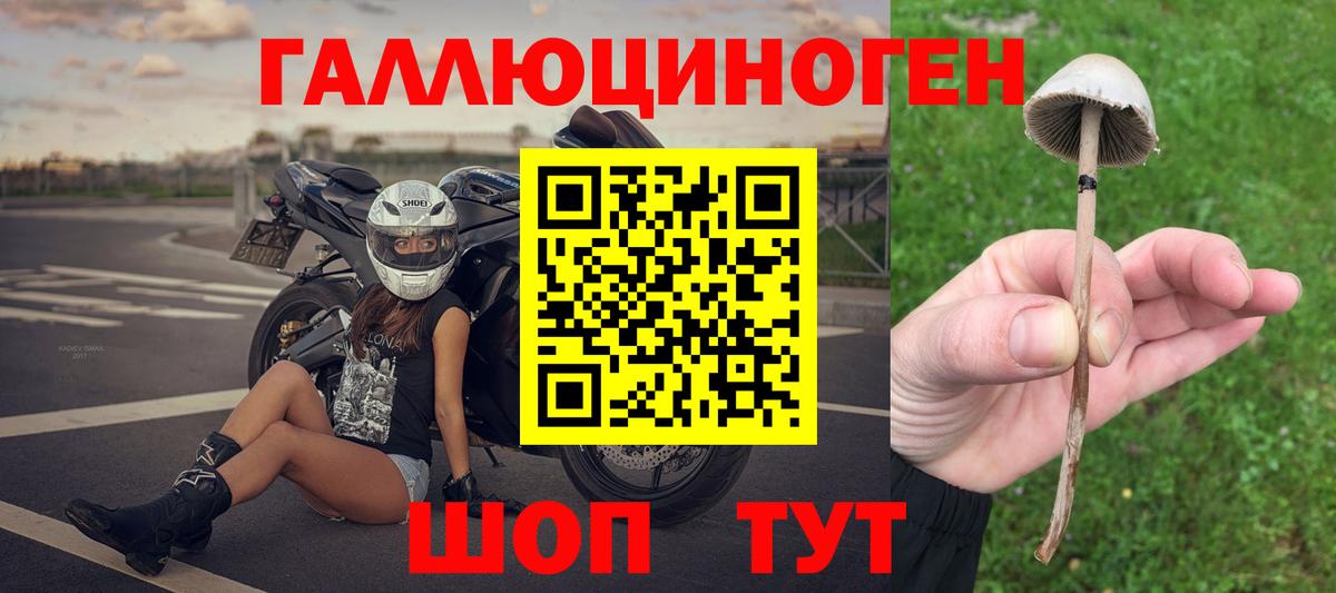 Псилоцибиновые грибы прущие грибы  Вход с VPN  Псилоцибиновые грибы мицелий  Полысаево 